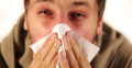 Sinus Allergies