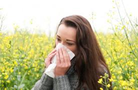 Sinus Allergies