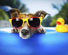 Keep Cool This Summer