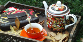 yogi-tea-inspirational-quotes